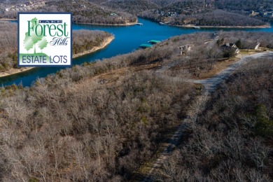 Lakefront Lot - photo 8