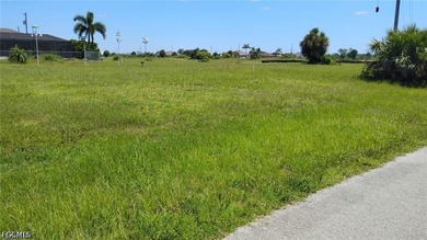 This 0.25-acre lot presents a great opportunity to build your - photo 1