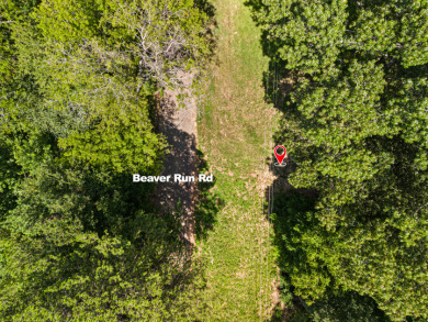 Buildable Northside Lot, Great fishing & duck hunting! - photo 9