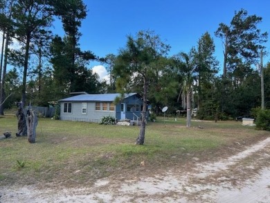 Lake Home For Sale in Wewahitchka, Florida