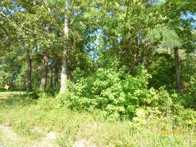 Lake Marion Lot For Sale in Pineville South Carolina