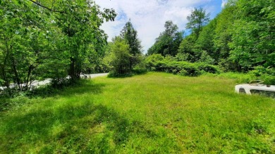 Lake Acreage For Sale in Lake Pleasant, New York