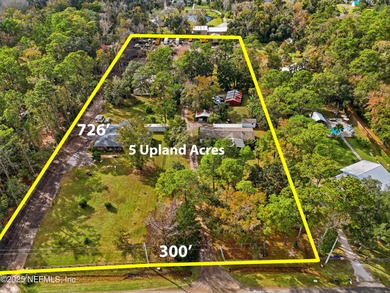 Rare 5-acre upland tract in the heart of Palm Valley. Sale - photo 2