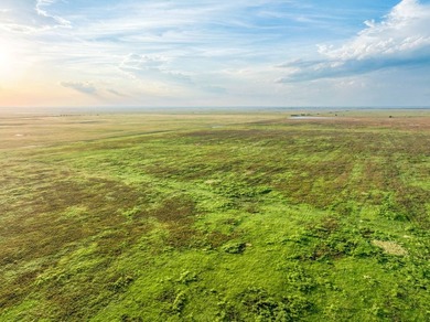 Take a look at this exceptional 1,280+/- acre ranch offering - photo 11