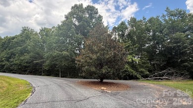 PREMIUM BUILDING SITE ON 9+ ACRES IN LAKE ADGER COMMUNITY, Mill - photo 12