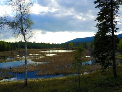 53.21 Acres. This ultra secluded parcel has it's own 5+ acre - photo 4