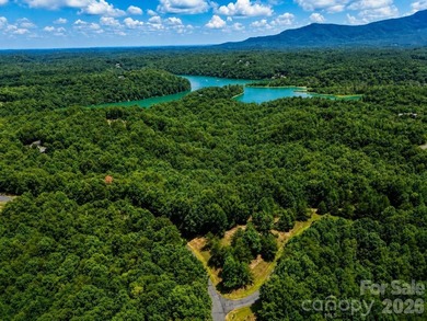 PREMIUM BUILDING SITE ON 9+ ACRES IN LAKE ADGER COMMUNITY, Mill - photo 15