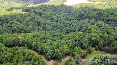 PREMIUM BUILDING SITE ON 9+ ACRES IN LAKE ADGER COMMUNITY, Mill - photo 16