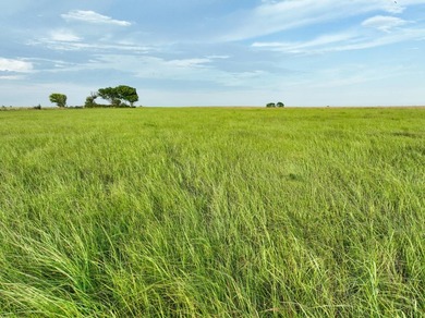 Take a look at this exceptional 1,280+/- acre ranch offering - photo 19