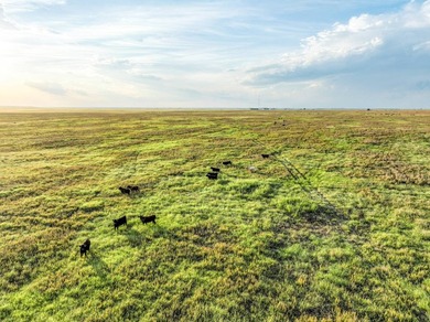 Take a look at this exceptional 1,280+/- acre ranch offering - photo 20