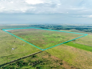 Take a look at this exceptional 1,280+/- acre ranch offering - photo 24