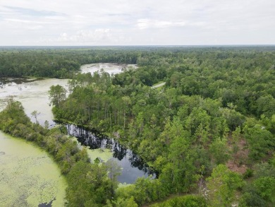 Lake Lot For Sale in Wewahitchka, Florida