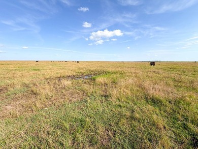 Take a look at this exceptional 1,280+/- acre ranch offering - photo 49