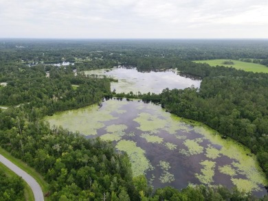 Lake Lot For Sale in Wewahitchka, Florida