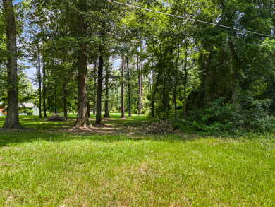 Buildable Northside Lot, Great fishing & duck hunting! - photo 3