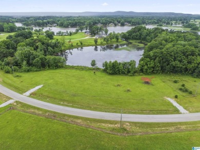 Lake Acreage For Sale in Wilsonville, Alabama