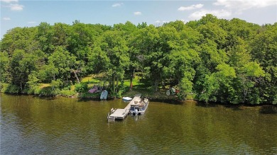Farm Island Lake Home For Sale in Aitkin Minnesota