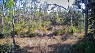 Incredible opportunity to own a residential lot in the growing - photo 5