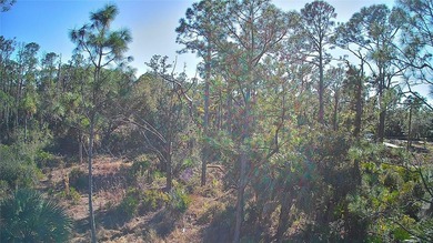 Incredible opportunity to own a residential lot in the growing - photo 6