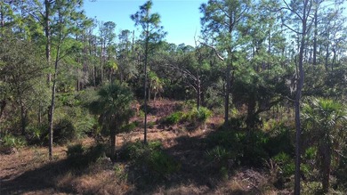 Incredible opportunity to own a residential lot in the growing - photo 10