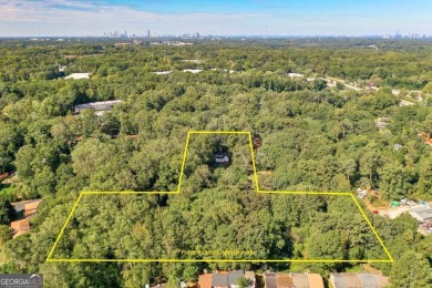 (private lake, pond, creek) Acreage For Sale in Clarkston Georgia