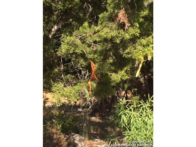 605 acre lot located in peaceful community of Canyon Lake. This - photo 12