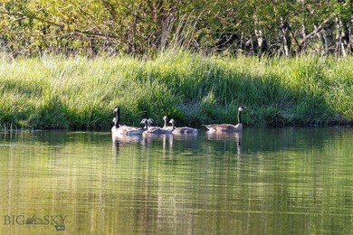 Few properties deliver on the promise of Montana living as - photo 14
