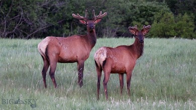 Few properties deliver on the promise of Montana living as - photo 20