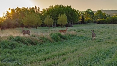 Few properties deliver on the promise of Montana living as - photo 21