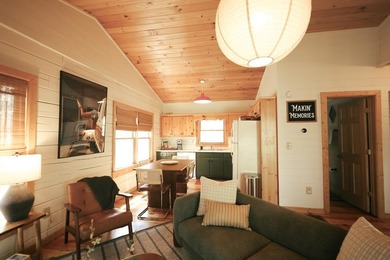 Lake Home For Sale in Blue Ridge, Georgia