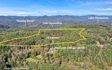 Lake Hiwassee Lot For Sale in Murphy North Carolina