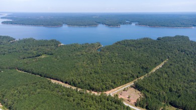 Strom Thurmond / Clarks Hill Lake Lot For Sale in Tignall Georgia