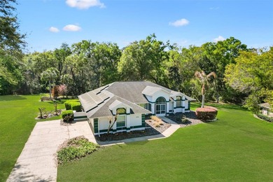 Lake Griffin Home For Sale in Lady Lake Florida