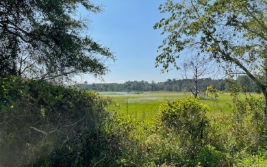 Lake Lot For Sale in Lake City, Florida