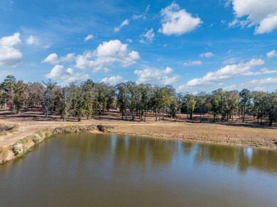 Waterfront Lot in Bullard ISD - photo 2