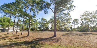 Burnt Store Lakes Area Lot For Sale in Punta Gorda Florida