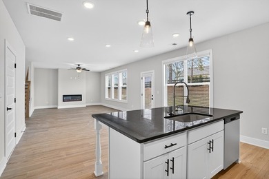 GREEN TAG HOME. Welcome to the Auburn Floor plan on Lot 8 - photo 18