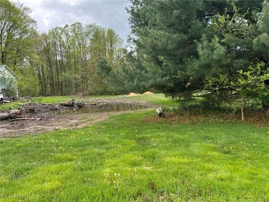 (private lake, pond, creek) Acreage For Sale in New Middletown Ohio