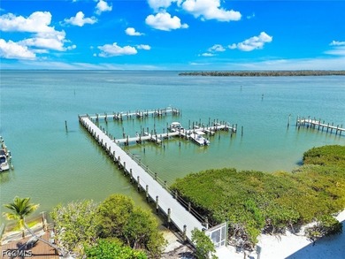 Be captivated in Captiva Island at this extraordinary Gulf-front - photo 39