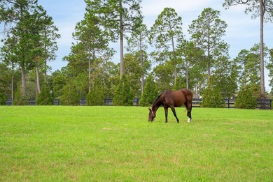 Exceptional 12.86-acre equestrian estate offers a serene haven - photo 9
