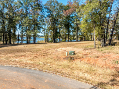 Waterfront Lot in Bullard ISD - photo 6
