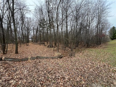 FIRE SALE PRICE FOR THE WINTER. If this doesn't sell over this - photo 10