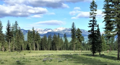 (private lake, pond, creek) Lot For Sale in Swan Valley Montana