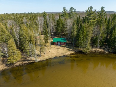 (private lake, pond, creek) Home Sale Pending in Fife Lake Michigan