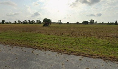 Rotunda Meadows Lakes  Lot For Sale in Placida Florida