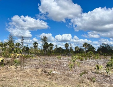 This exceptional 50-acre parcel presents a rare opportunity to - photo 2