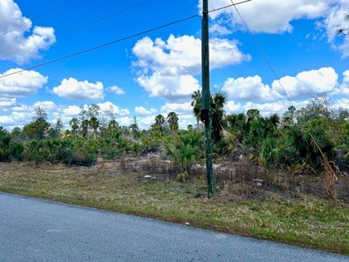 This exceptional 50-acre parcel presents a rare opportunity to - photo 3