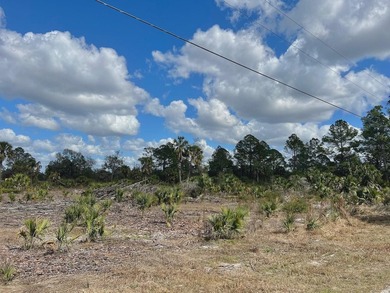 This exceptional 50-acre parcel presents a rare opportunity to - photo 4
