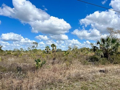 This exceptional 50-acre parcel presents a rare opportunity to - photo 5