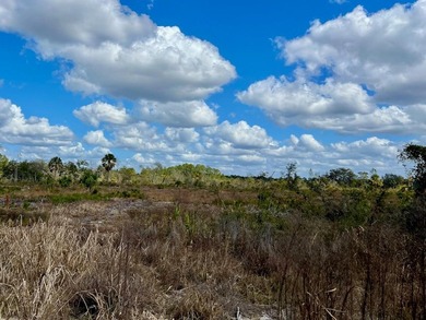 This exceptional 50-acre parcel presents a rare opportunity to - photo 9